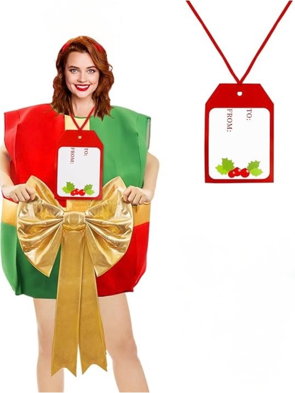 Holiday Christmas Present Halloween Costume